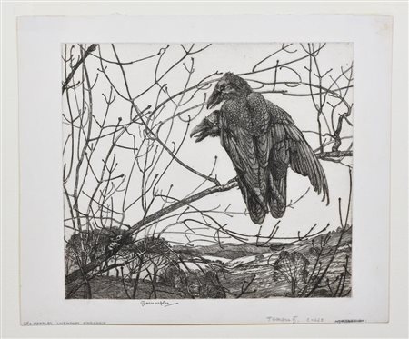 George Marples CORVI SU UN RAMO Acquaforte. mm 155x175. Foglio: mm 190x225....