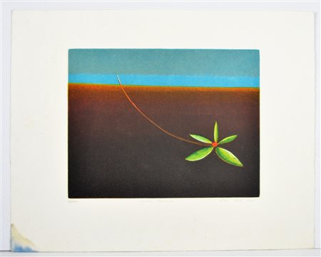 NON IDENTIFICATO AUTORE Senza titolo. Serigrafia. Cm 50,00 x 40,00. 57/100....