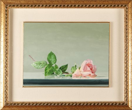 MANINI DARIO (n. 1946) Rosa rosa. Olio su tela . Cm 40,00 x 30,00. Firma in...