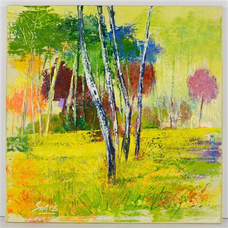 SOAVE MARIO (n. 1955) Betulle. Olio su tavola. Cm 30,00 x 30,00. Firma in...