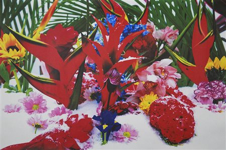Marc Quinn 1964 Winter Garden - Plate 4Heliconia, 2004 Stampa pigmentaria H81...