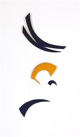 SARA CAMPESAN Senza titolo.