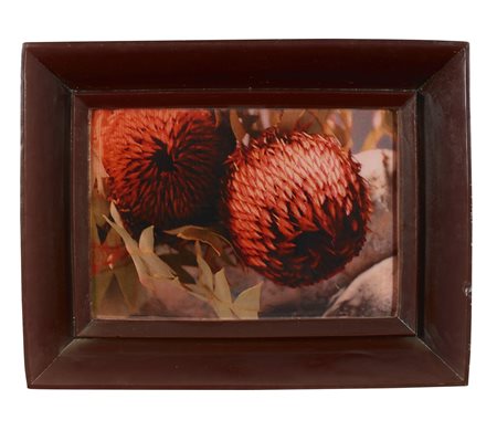 CHIARA DYNYS Poisoned Flowers.