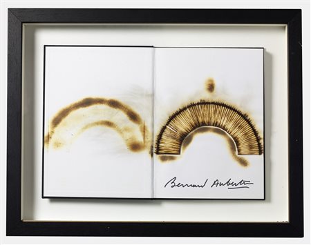 BERNARD AUBERTIN Livre Brulé Rosenberg.