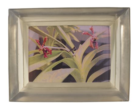 CHIARA DYNYS Poisoned flowers.