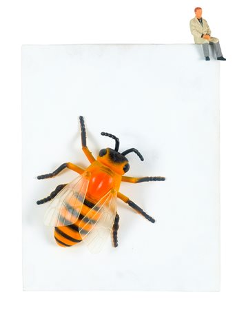 FRANCESCO DE MOLFETTA (1979) - Pericolo APErol, 2004