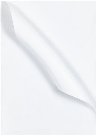 ANTONIO BACCARIN (1954) - Senza Nome, 2001