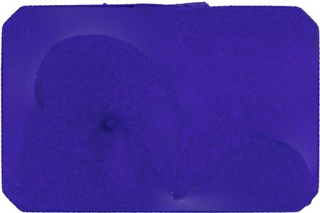 GIUSEPPE AMADIO (1944) - Briu-17