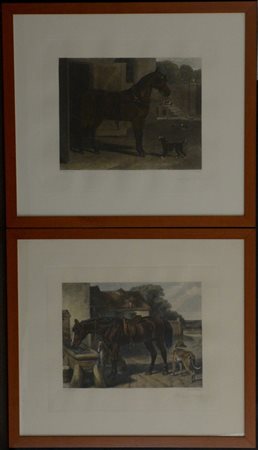 Gruppo di quattro incisioni inglesi a colori raffiguranti cavalli (fogli cm...