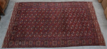 Tappeto Bouhkara, Turkestan Occidentale, fine secolo XIX.
Disegno a Gul su fond