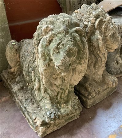 Coppia di sculture da giardino raffiguranti leoni accovacciati (cm 60x60x30) (d