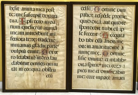 Lotto composto da due grandi fogli di messale su pergamena del XVI Secolo con c