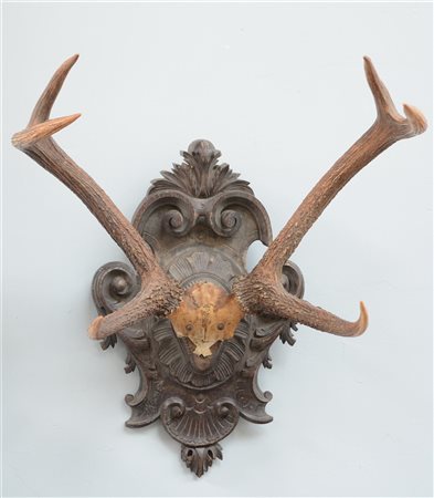 Trofeo con corna di cervo applicate su pannello in legno intagliato e sagomato