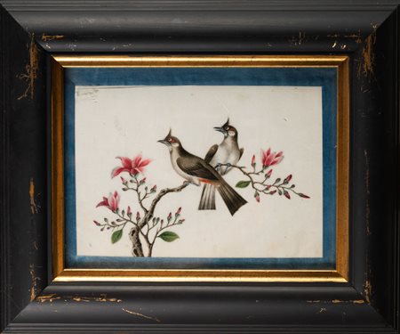 Arte Cinese  A set of six Canton paintings on pith paper depicting birds and flowers China, mid 19th century.