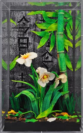 GILARDI PIERO Orchidee