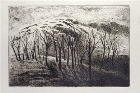 Anonimo del XX sec. Casolare abbandonato, 1916 Inchiostro su cartone, cm....