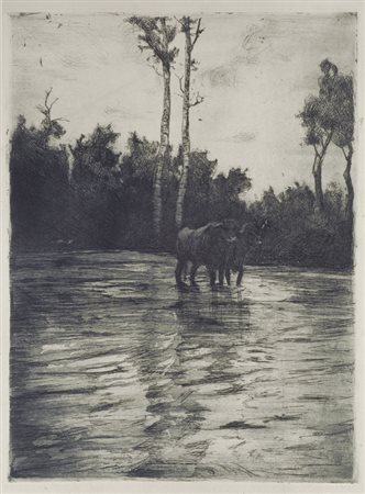 Attr. a Luigi Serena Buoi Acquaforte, mm. 460x350 (foglio); mm. 365x264...