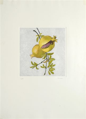 Swietlan Kraczyna (Kamienkoszyrsky - Polonia, 1940) Melograni, 1990...