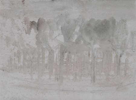 Mario Marcucci (Viareggio, 1910 - 1992) Faggeta Acquerello su carta, cm....