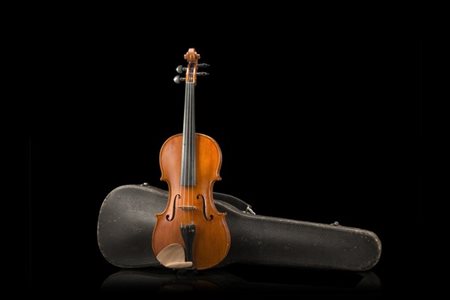 Violino di Laura Vigato, Brescia 1984
Fondo in un sol pezzo con marezzatura pro