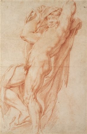 Domenico Maria Canuti (attr.)

Studio virile stante
Matita rossa su carta mm 480