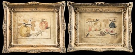 Scuola piemontese del secolo XVII

Fichi, pere, lumaca e formiche e Melograno,