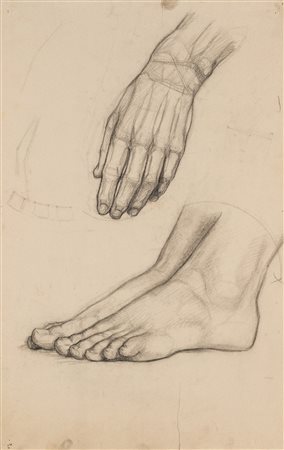 
 

Nineteen drawings depicting studies on human anatomy