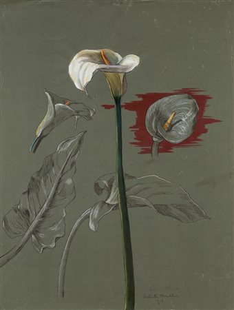 
 

Two studies on flowers