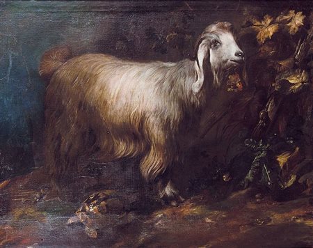 PITTORE ANONIMO DEL XVIII SECOLO "Natura morta con capra e tartaruga" 106x142...