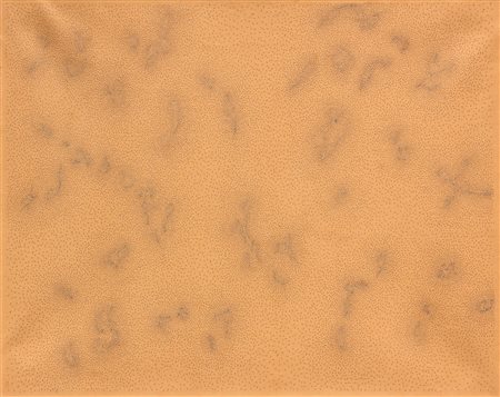 DADAMAINO -
Costellazione