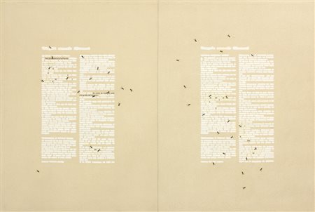 ISGRO' Emilio
Amaise