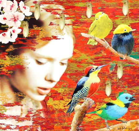 DELASCO Pietro
Senza titolo