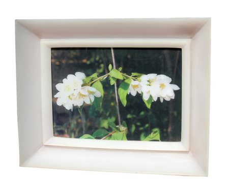 DYNYS Chiara
Poisoned flowers