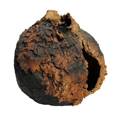 CARLINI Maria Cristina
Cratere