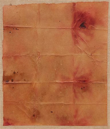 BOERO Renata
Germinazione