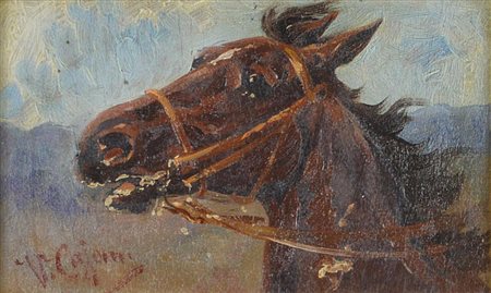 Vittorio Cajani CAVALLO olio su tavoletta, cm 13x22 firamto sul retro: firmato