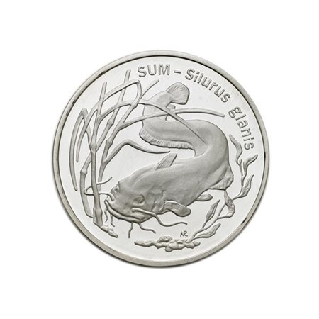 POLONIA 
Repubblica.
20 zlotych 1995/Pesce siluro.Y.290. AG. PROOF.