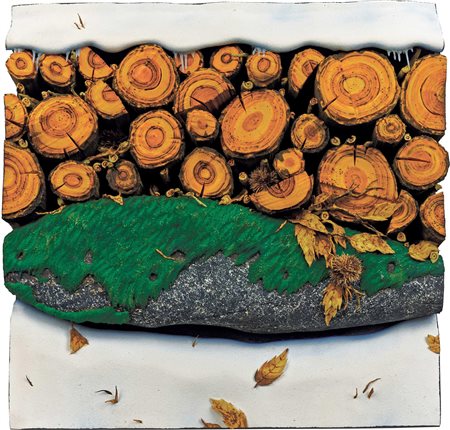 Legnaia sotto la neve