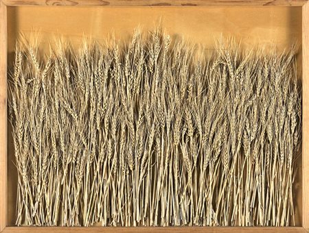 Mario Ceroli Eleusi-spighe argentine 1990