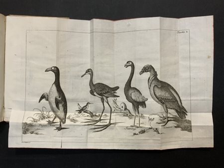 [MOLINA, JUAN IGNACIO] Compendio della storia geografica, naturale e civile del