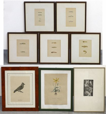 Lotto composto da otto incisioni. Soggetti e misure diverse. In cornici (difett