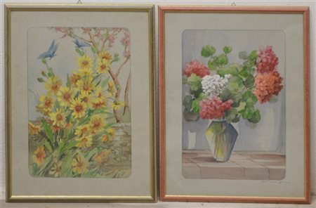 Scuola del secolo XIX/XX "Fiori" coppia di acquarelli (cm 35x25) uno con tracce