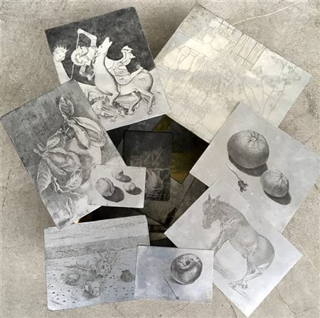 Cartone contenente numerosi cliché tipografici principalmente di soggetto natur