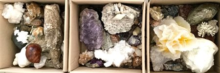 Lotto composto da tre scatole contenenti diversi minerali e conchiglie (difetti