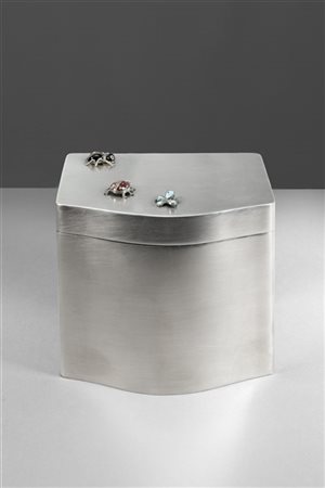 Scatola porta gioie in argento satinato con insetti sparsi sul coperchio in ril