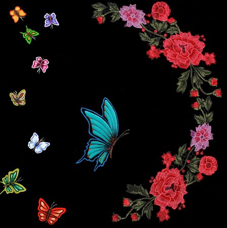 ALESSANDRA CASCIOTTI, Pensieri Alati