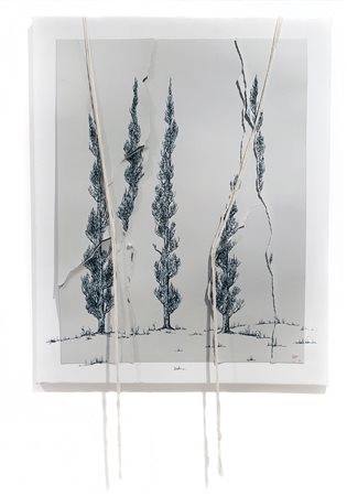 DOMENICO SORRENTINO, Senza Titolo