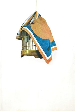 Michelangelo Pistoletto Biella 1933 Gabbia Serigrafia a colori su acciaio...