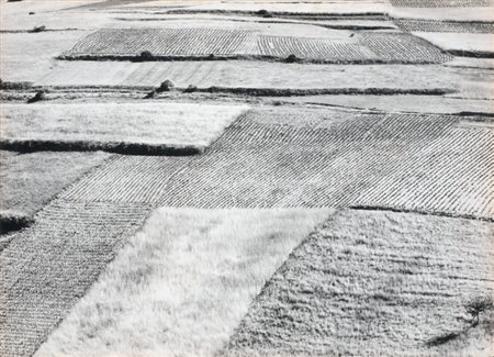 Mario Giacomelli Senigallia (An) 1925 - 2000 Paesaggio Stampa alla gelatina...