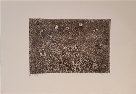 Mario Nicorelli SENZA TITOLO 